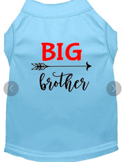 Big Brother Screen Print Shirt - Blue